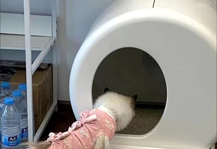 智能猫砂盆不动了是什么问题引起的